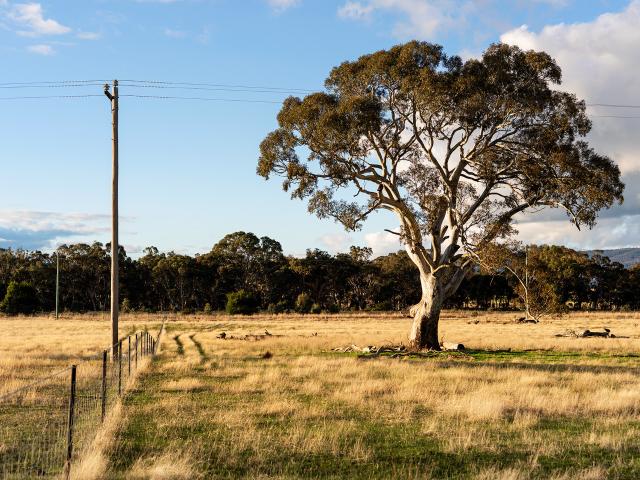 Property for sale in Buangor, Rural City of Ararat