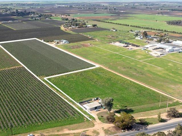 Land for sale in Loxton, South Australia