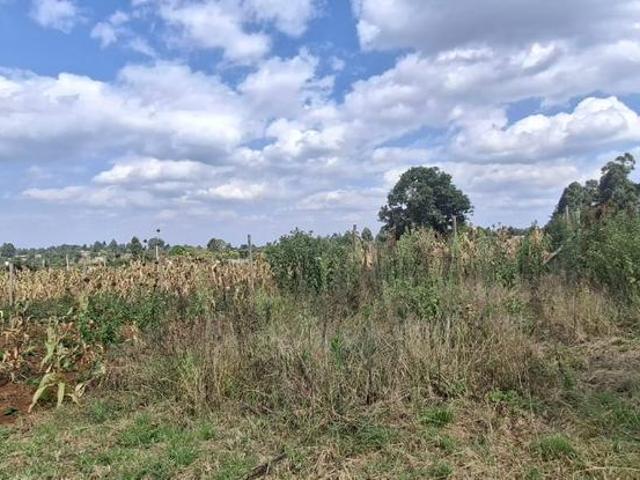 Land for sale