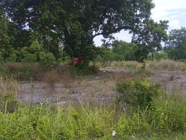 Property for sale in Pekan, Pahang