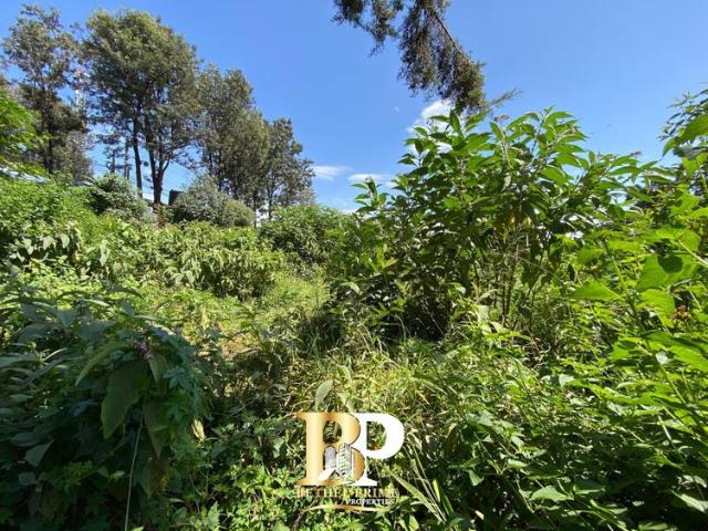 Land for sale in Kiambaa, Ruaka