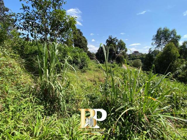Land for sale in Kiambaa, Ruaka