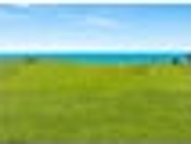 Land for sale in Kawau Island