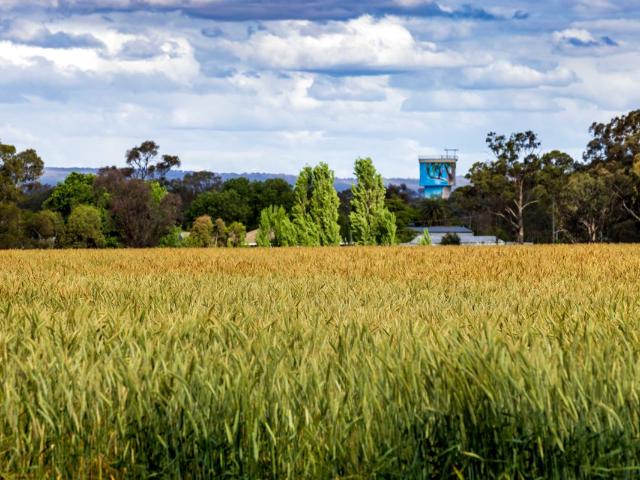 Cottage for sale in Walla Walla, New South Wales