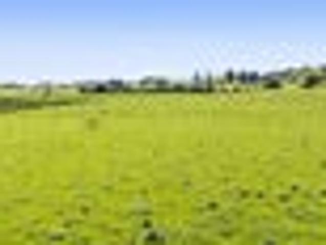 Land for sale in Tākaka, Tasman District