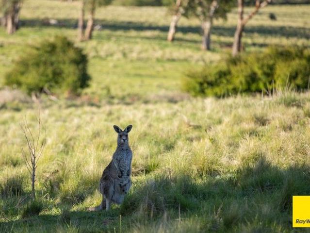 Land for sale in Abington, New South Wales