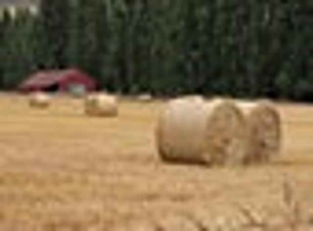 Land for sale in Otakou