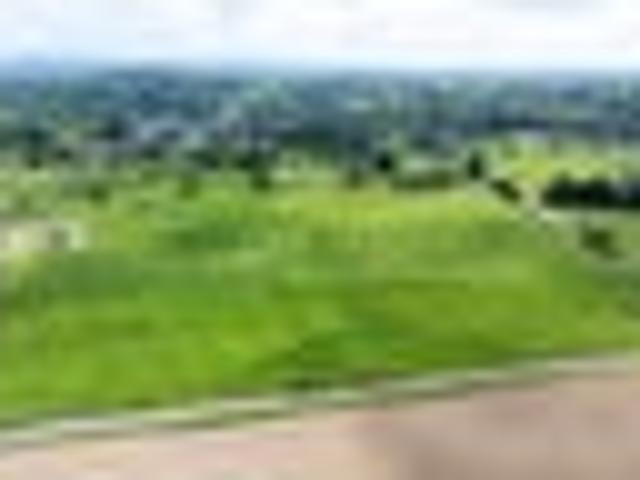 Land for sale in Otakou