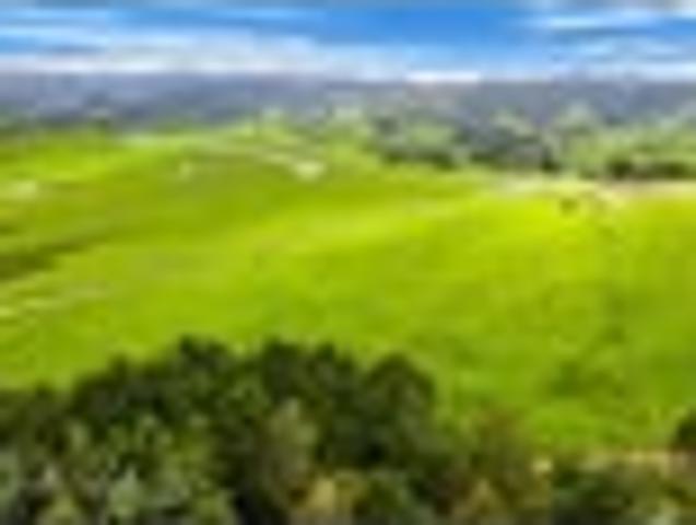 Land for sale in Northland