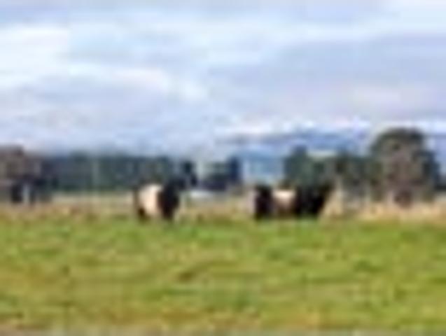 Land for sale in Wellington