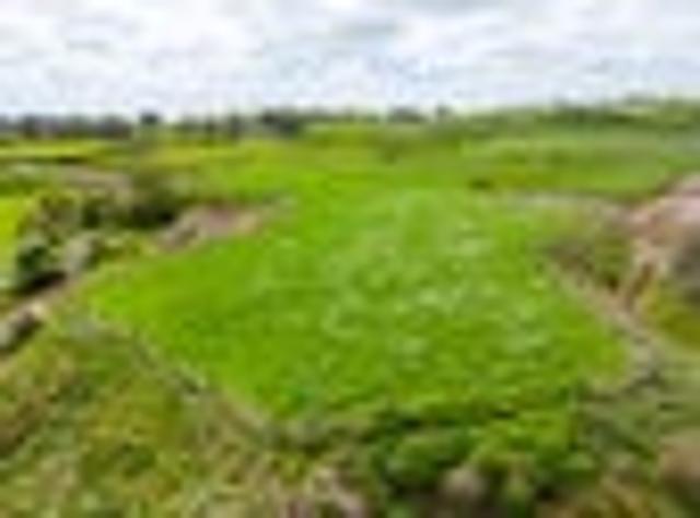 Land for sale in Te Awamutu, Waikato