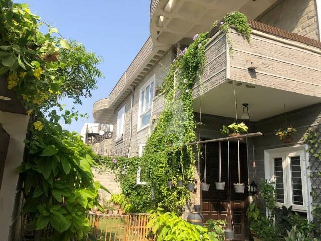 House for rent in North Waziristan, Federally Administered Tribal Areas fata