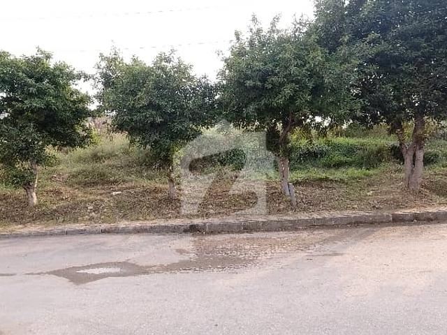 Property for sale in اسلام آباد, زون 1