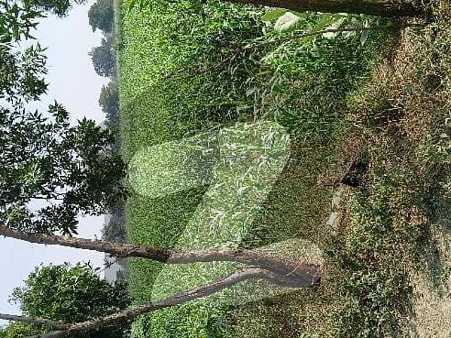 Land for sale in Rawalpindi, Islamabad Capital Territory