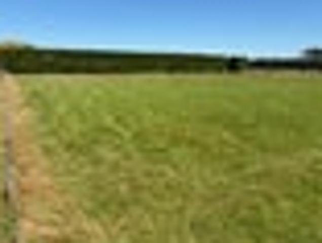 Land for sale in Southland