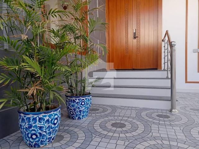 House for sale in North Waziristan, Federally Administered Tribal Areas fata