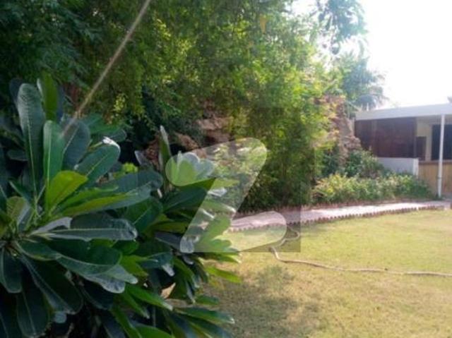 House for rent in North Waziristan, Federally Administered Tribal Areas fata
