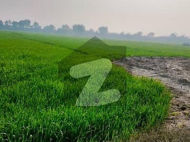 Land for sale in Sargodha, Islamabad Capital Territory