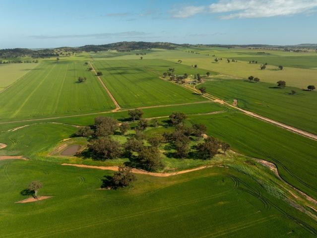 Acreage for sale in The Gap, Wagga Wagga City Council