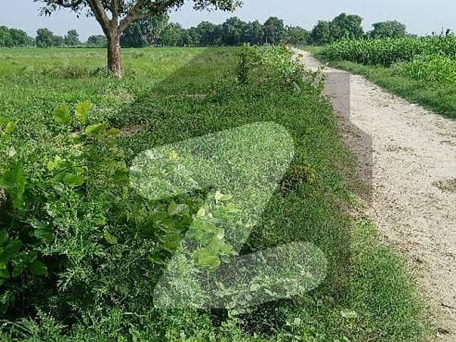Land for sale in Lahore