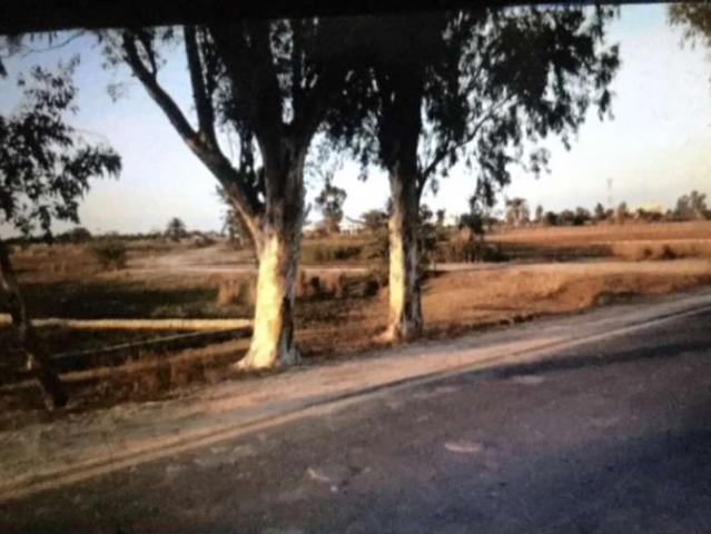 Land for sale in Miana Pura, سیالکوٹ