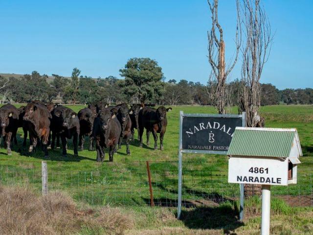 Acreage for sale in Coonabarabran, New South Wales