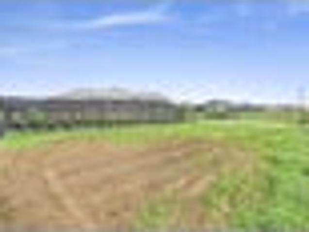 Land for sale in Morrinsville, Matamata Piako District