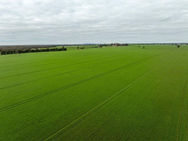 Acreage for sale in Sandigo, New South Wales