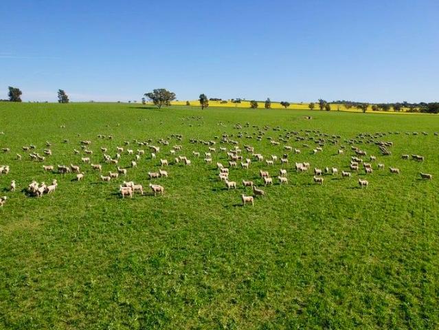 House And Land for sale in Wagga Wagga House And Land for sale in Wagga Wagga