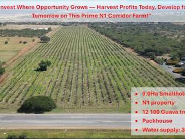 Property for sale in Vhembe, Limpopo