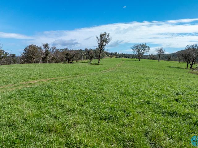 Cottage for sale in Abington, New South Wales
