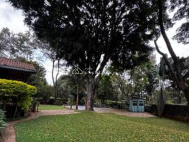 Commercial for sale