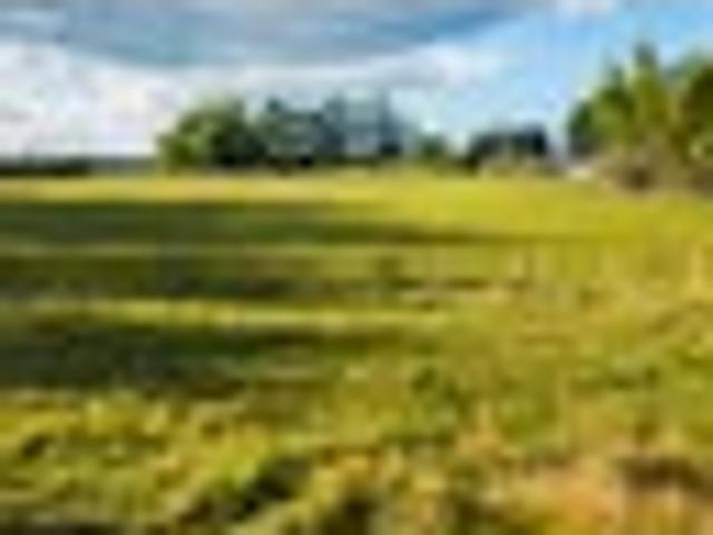 Land for sale in Waimate, Canterbury