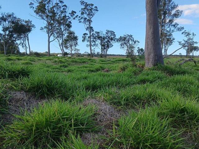 Cottage for sale in Banyan, Queensland