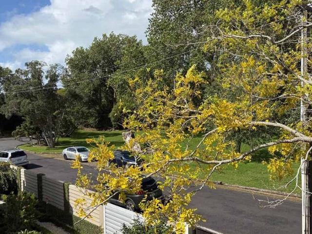 House for rent in Hillersden