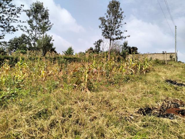 Land for sale in Eastleigh, Nairobi