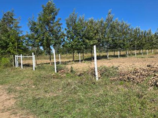 Land for sale in Nanyuki, Laikipia