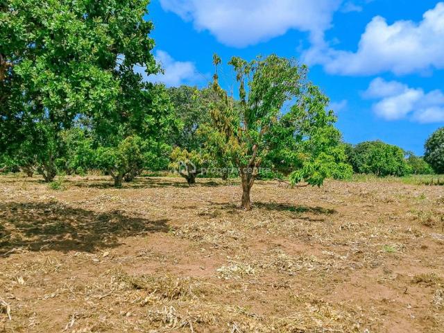Land for sale in Kilifi