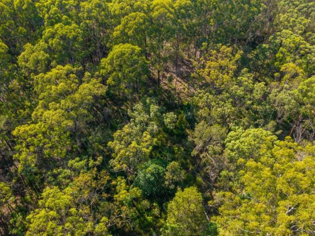 Cottage for sale in Barraganyatti, New South Wales