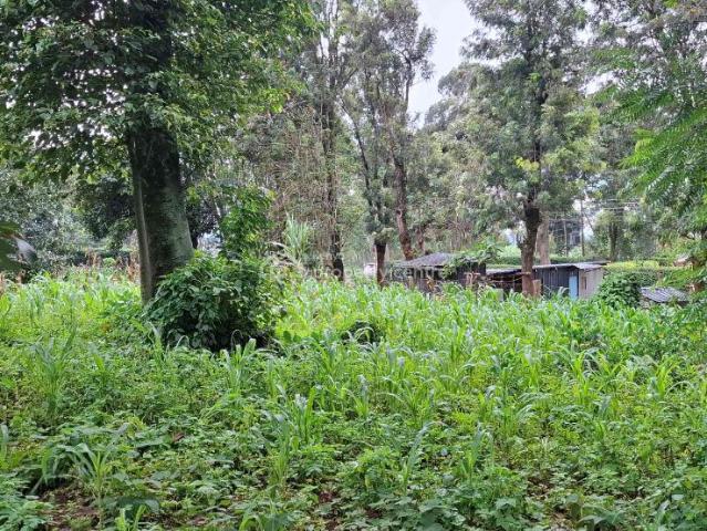 Land for sale in Ngong, Kajiado