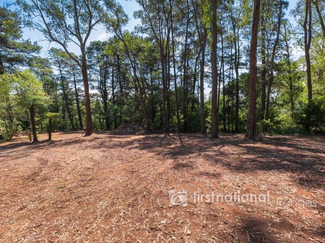 Property for sale in Camerons Creek, Victoria