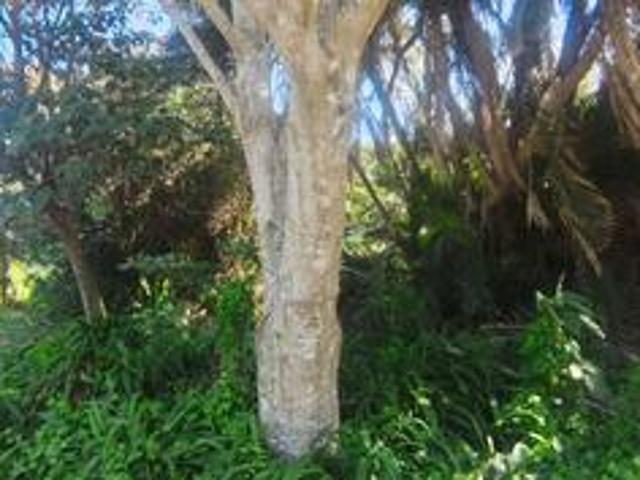 Land for sale in Ugu District Municipality, Kwazulu-natal
