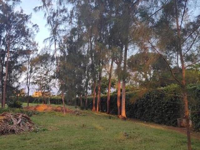 Land for sale in Kwale, Diani