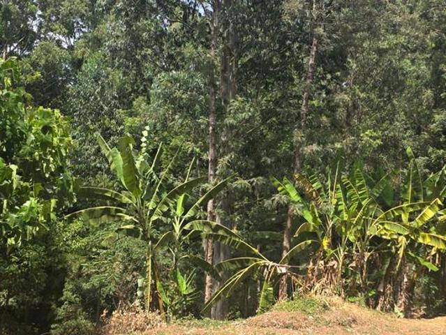 Land for sale in Kitisuru, Westlands
