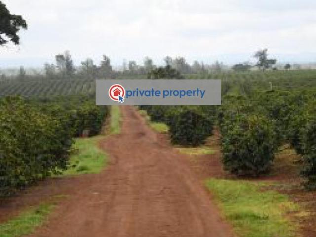 Land for sale in Juja