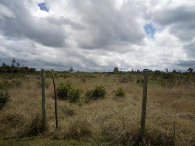 Land for sale in Nanyuki, Laikipia