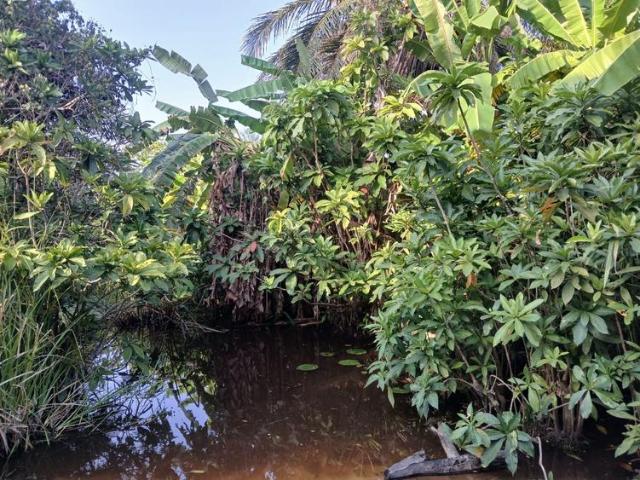 Land for sale in Kwale