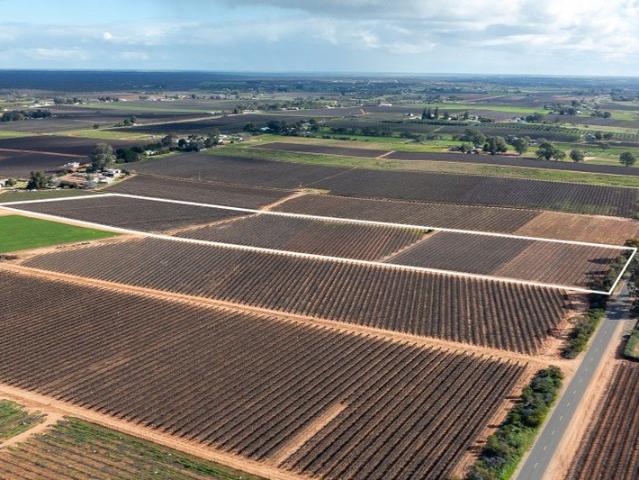 Cottage for sale in Barmera, South Australia