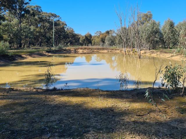 Property for sale in Moama, New South Wales