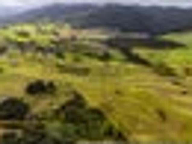 Land for sale in Fairburn, Northland